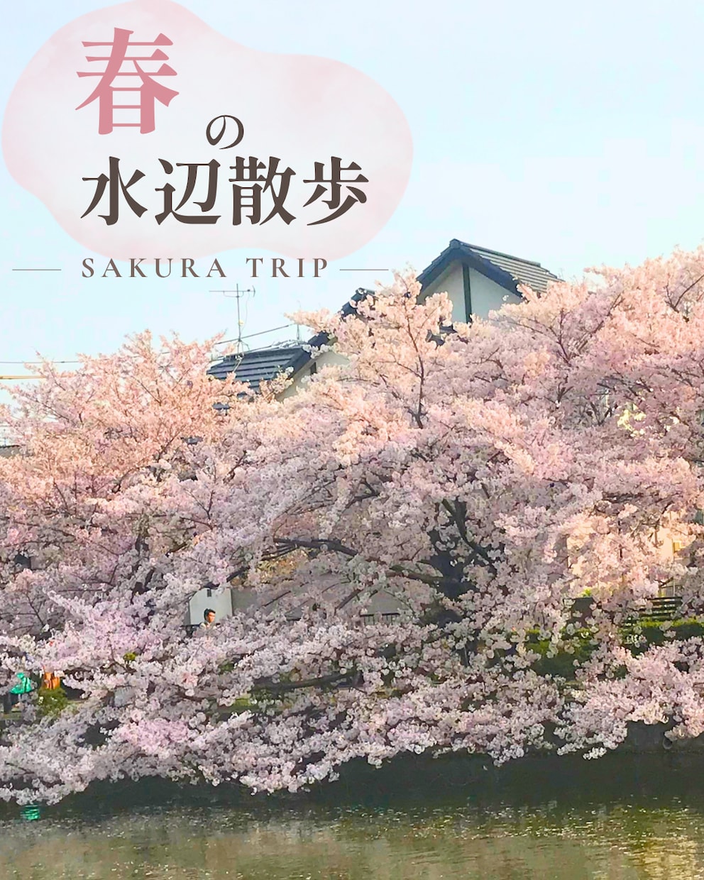 美容看護師が伝わるインスタ投稿画像を制作します 想いや魅力を整理して、読みやすく統一感のある投稿に イメージ4