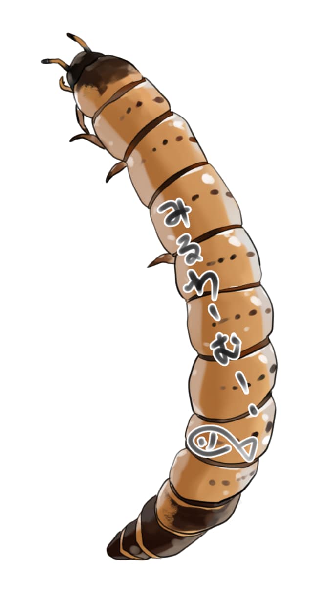 昆虫のイラスト描きます 子供がペットにしていた昆虫や、昆虫が好きな方のために描きます イメージ5