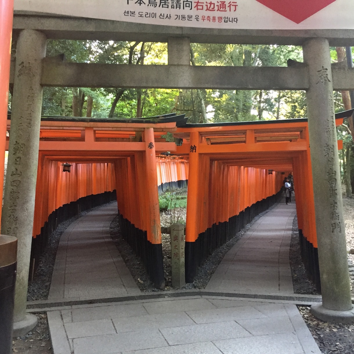 今、あなたに一番必要な霊視メッセージをお伝えします ◆ご相談事への質問の回答から１時間以内に鑑定を出します。 イメージ5