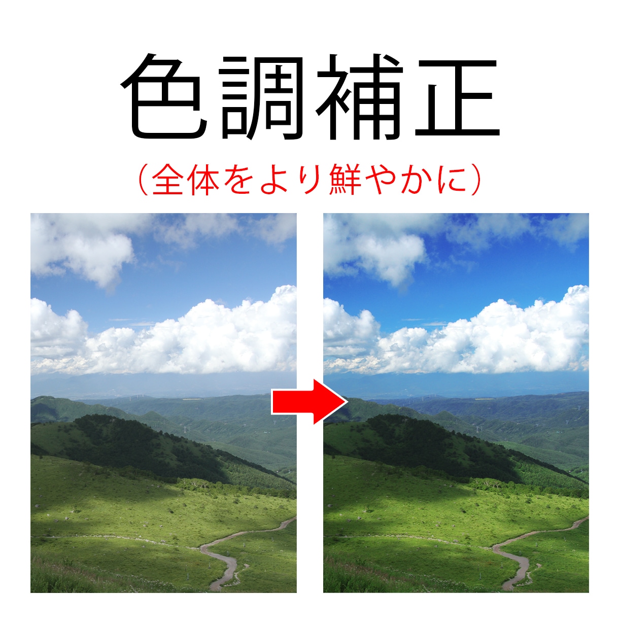 写真画像の色調補正を承ります 風景写真、商品画像などを鮮やかにして質感アップ！ イメージ2