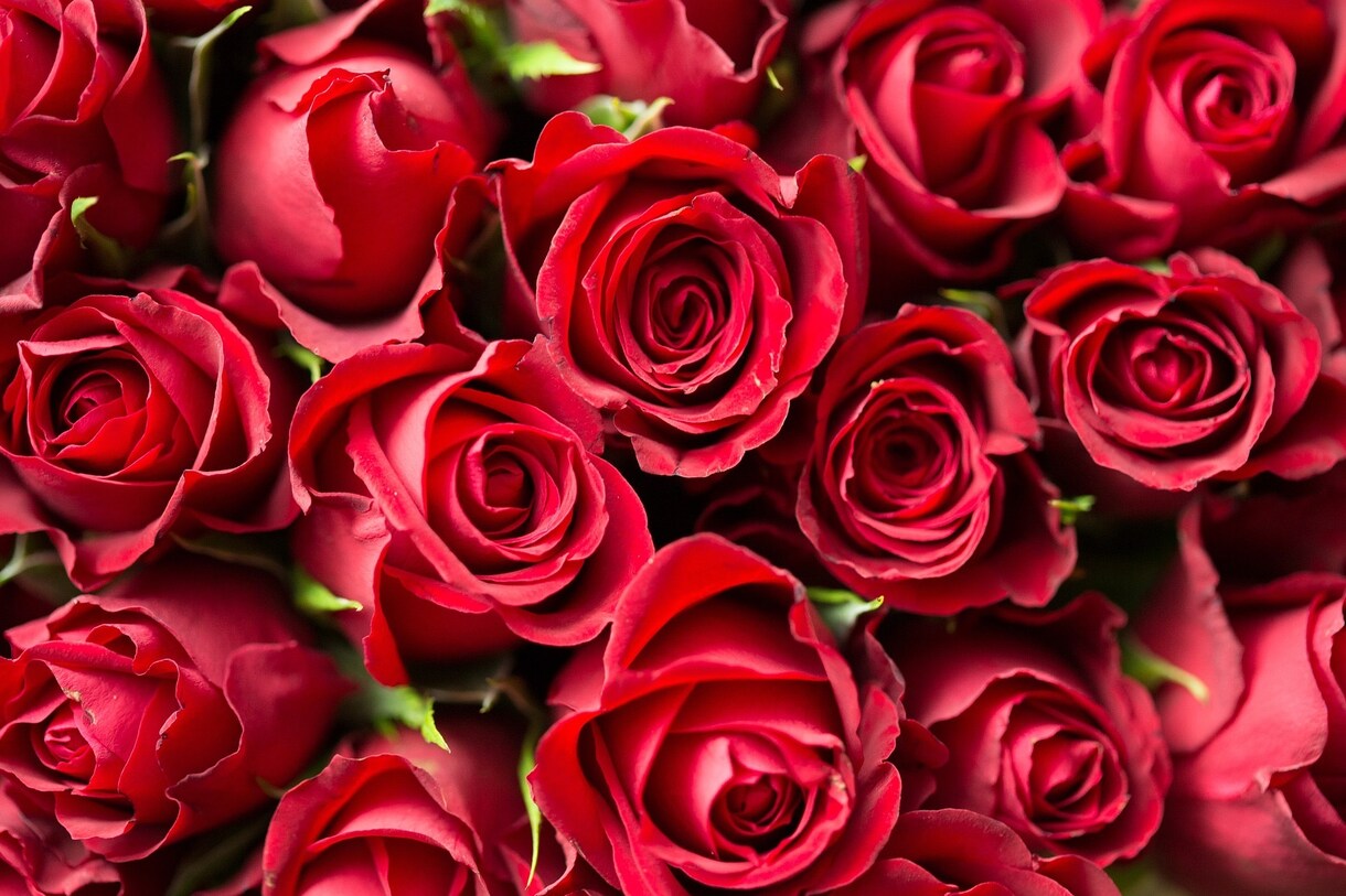 誰が何と言おうと❤️あなたは必ず幸せになれます ❤️あなたの幸せは❤️あなたが決めればいいんです‼️ イメージ9