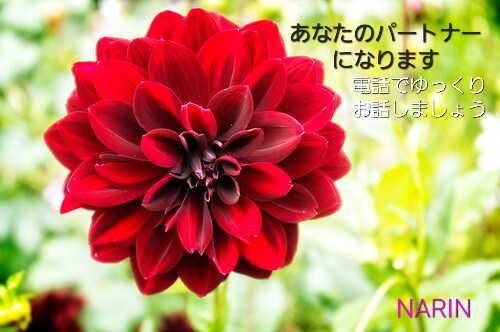あなたの彼女、友達、何にでもなります 電話であなたのパートナーになります。 イメージ1