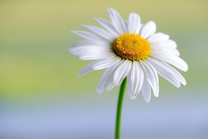 貴女のココロに寄り添いお話を聞かせていただきます 波乱万丈の人生経験済みの★心理カウンセラー★愚痴などもOK イメージ5