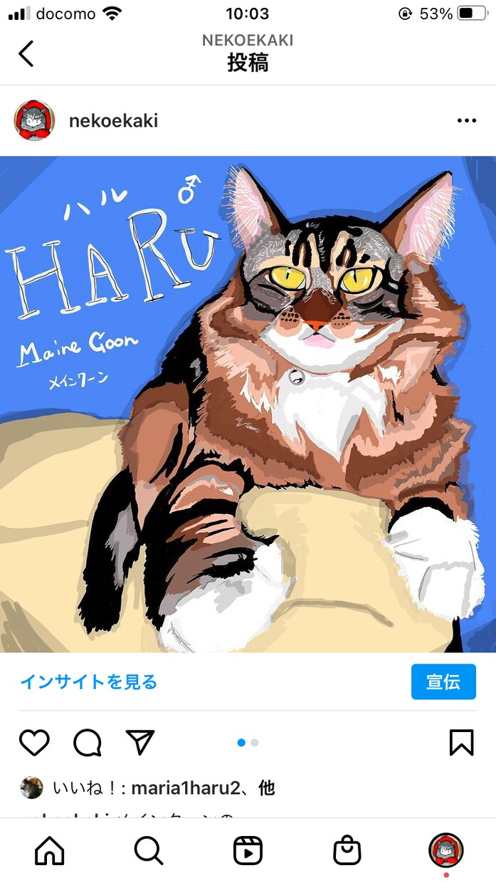 みなさんの猫ちゃんをお洒落なイラストにします 他には無いスタイリッシュで可愛らしいイラストに仕上げます✨ イメージ4