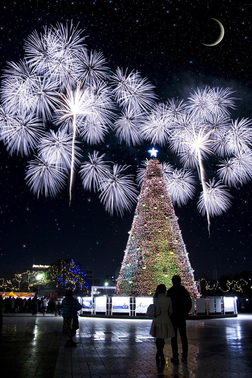 花火大会の写真を作ります 花火大会の写真をお探しのあなたへ!! イメージ4