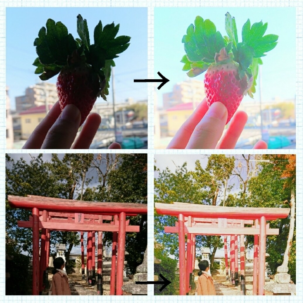 写真を加工します お試し枠は商品一覧よりお願いいたします イメージ1