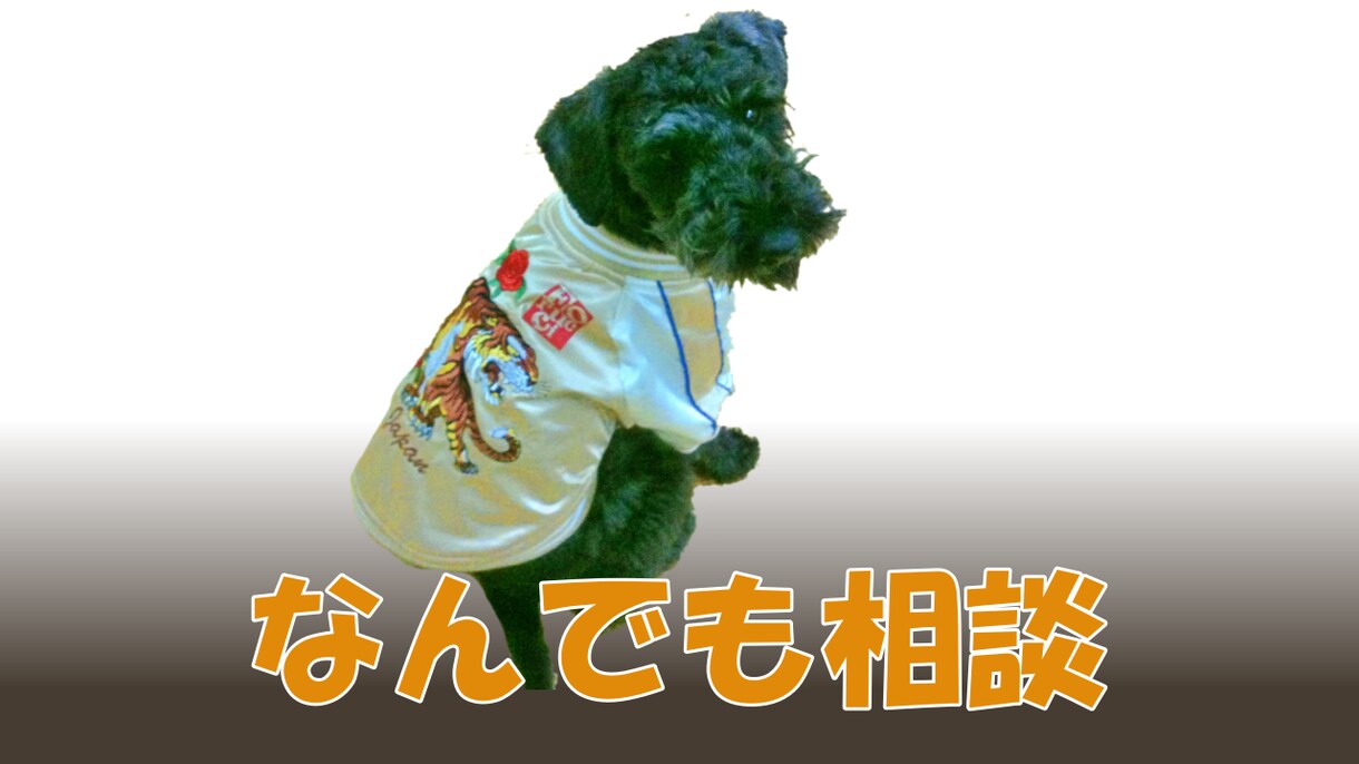 愛犬なんでも相談！悩み解決等アドバイスいたします 愛犬も飼い主さんも笑顔で暮らせるお手伝い イメージ1