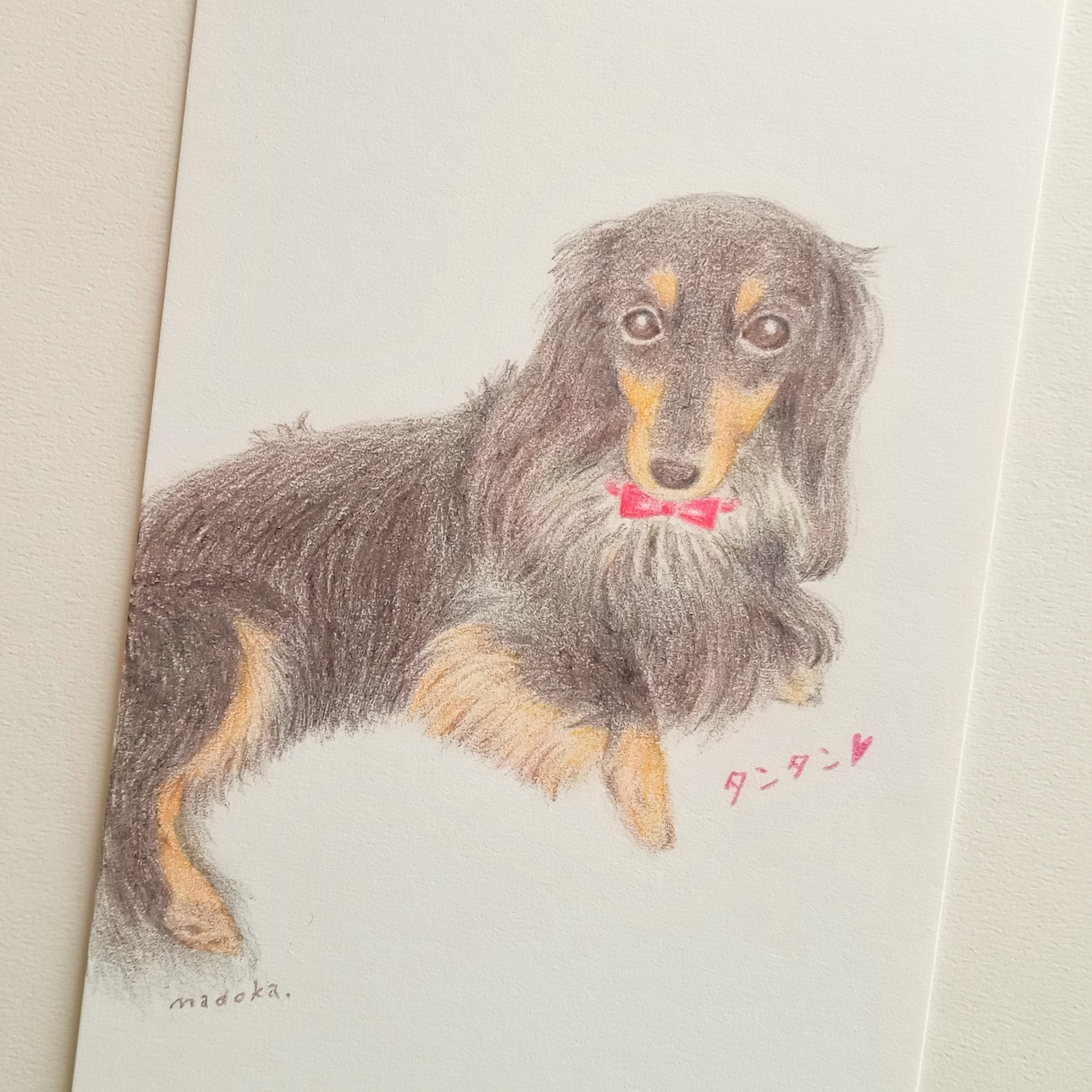手描きでほんわか優しいペットイラスト描きます 温かみある優しい色鉛筆画。似顔絵、名入れ、思い出、プレゼント イメージ5