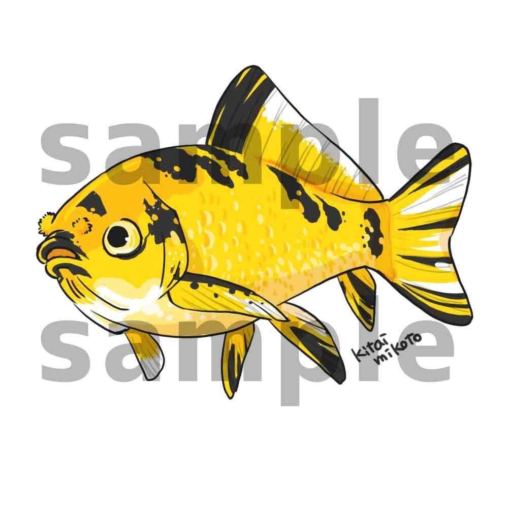 あなたのペット金魚ちゃんのイラスト描きます あなたの金魚ちゃんを可愛いキャラクターにします イメージ5
