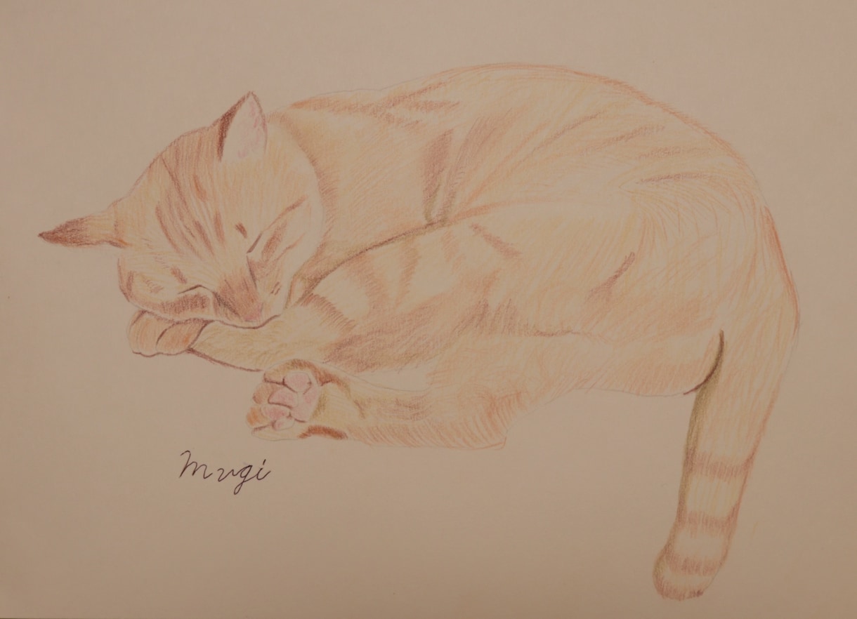 動物の似顔絵描きます シンプルで優しいペットの似顔絵描きます イメージ6