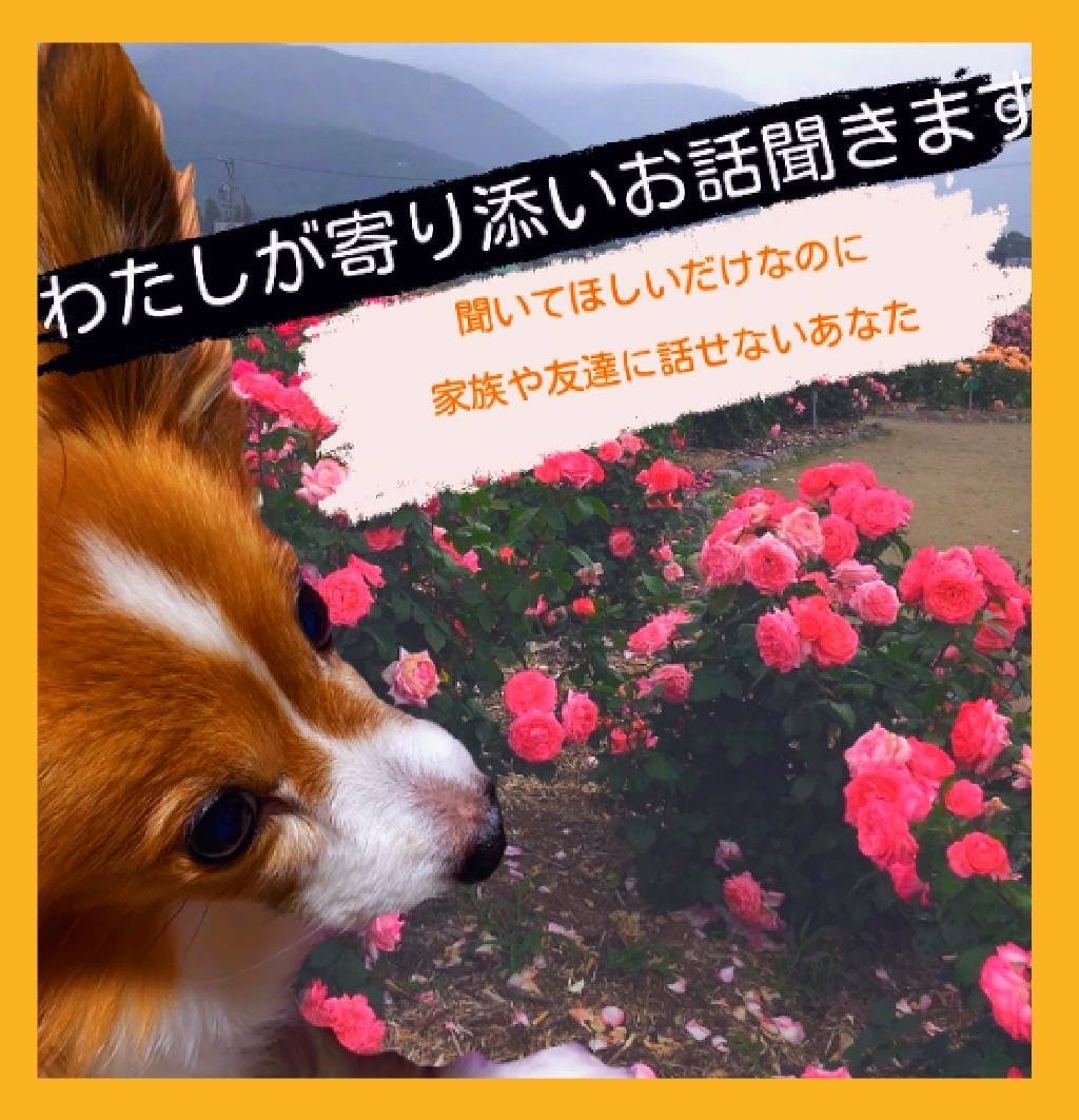 小さい愚痴〜大きい愚痴まで寄り添ってお話聞きます 介護疲れ／仕事の人間関係／恋愛／家族等日常の愚痴をためないで イメージ1