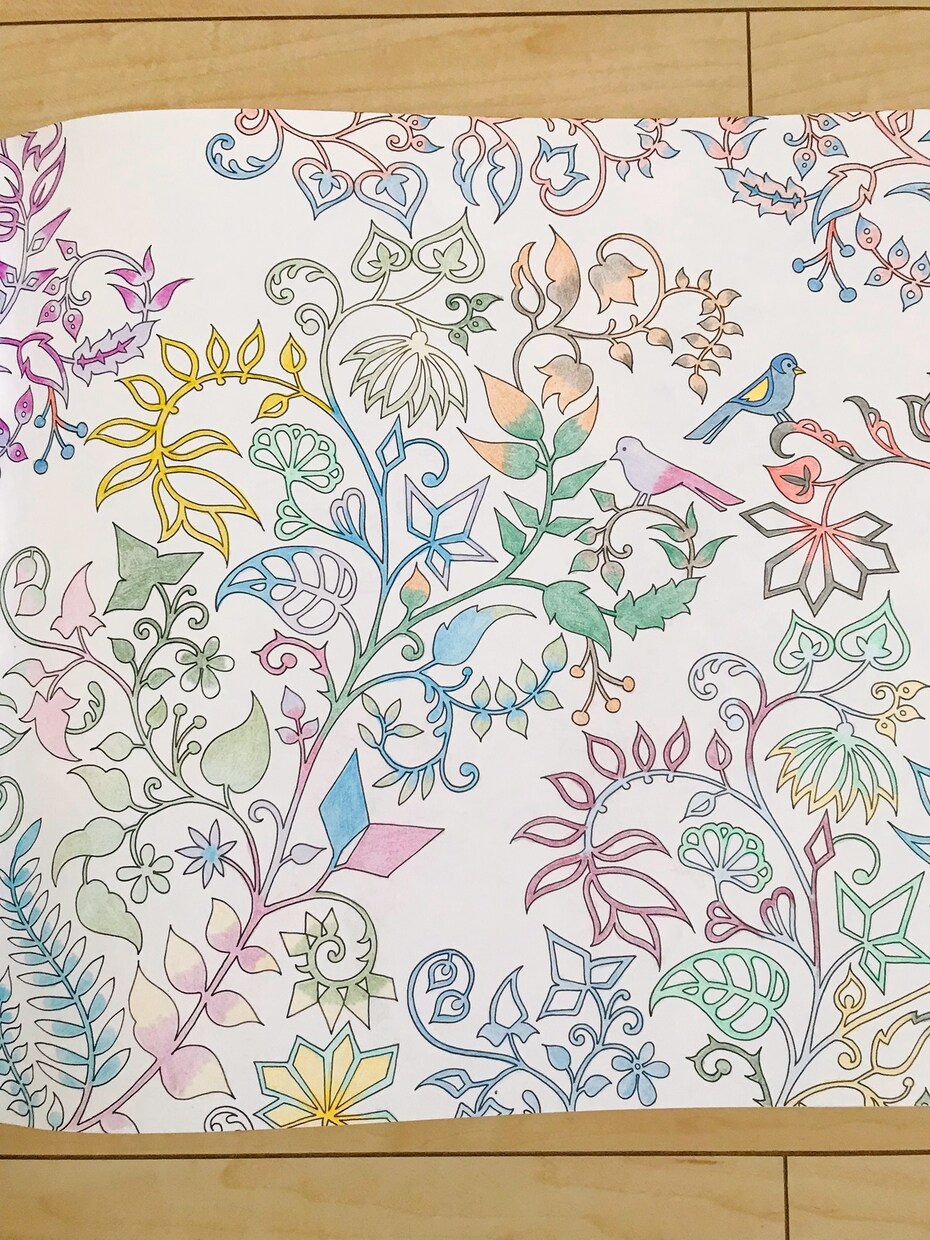 お好きなぬり絵を美しく塗ってさしあげます 綺麗なぬり絵のお手本を提供します イメージ7