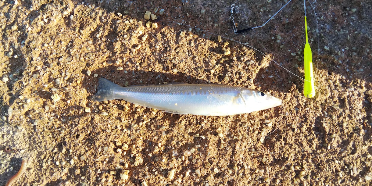 釣り歴40年が魚釣り（初級～中級）の相談にのります テンヤ、ボートエギング、フカセ、ヤエン、投げ釣りの仕掛け イメージ3