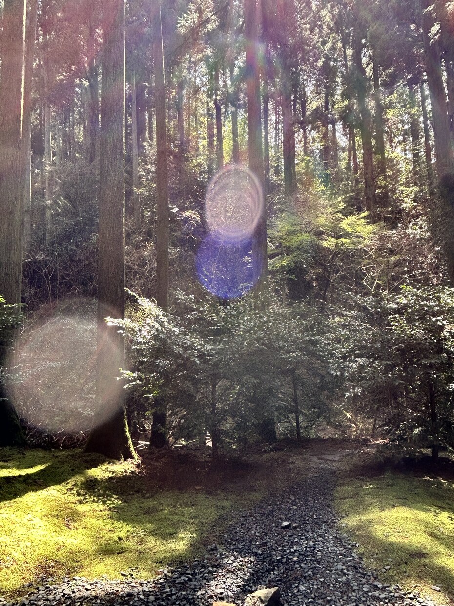 複雑愛/復縁/恋愛☆霊感タロットで電話占いします ツインレイ鑑定師によるツインレイ♡ソウルメイトのご相談が得意 イメージ10