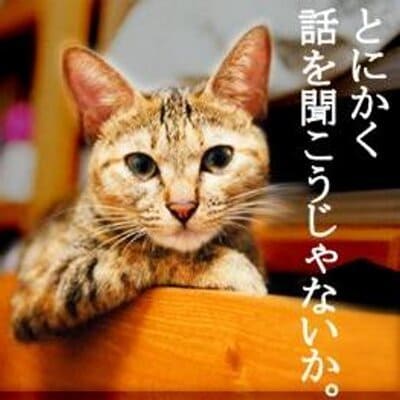 恋愛相談、アドバイスうけます 恋愛の仕方や、悩んでいるあなたへ イメージ1