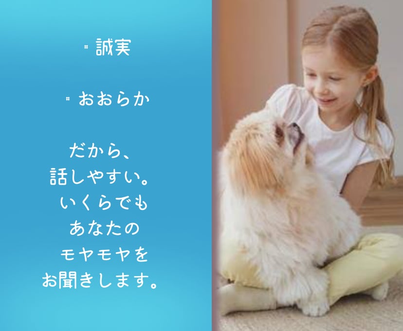 どうでもよくない、どうでもいいこと聞きます 「（どうでもよくない）どうでもいいこと」話してみませんか？ イメージ5