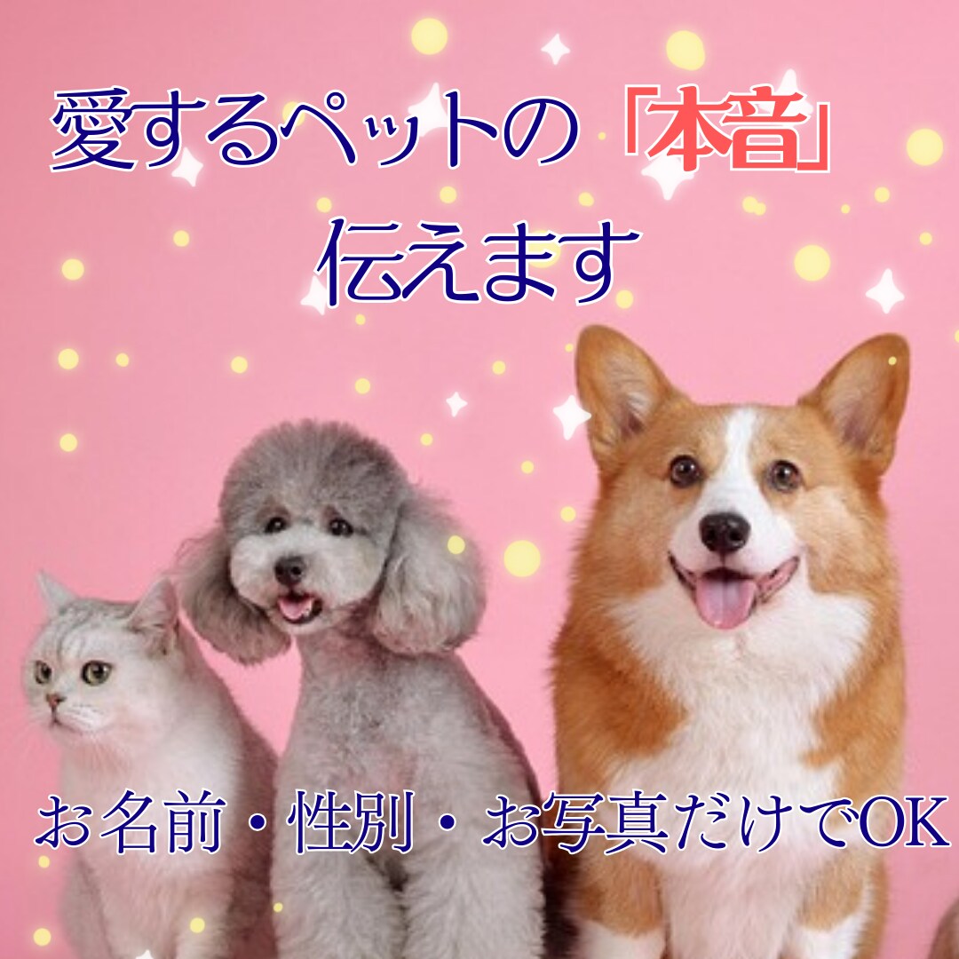 今いる子やお空の子の想い、心の声をお届けします ​「幸せ？」困った行動の理由は？あの子の本音を届けます。 イメージ1