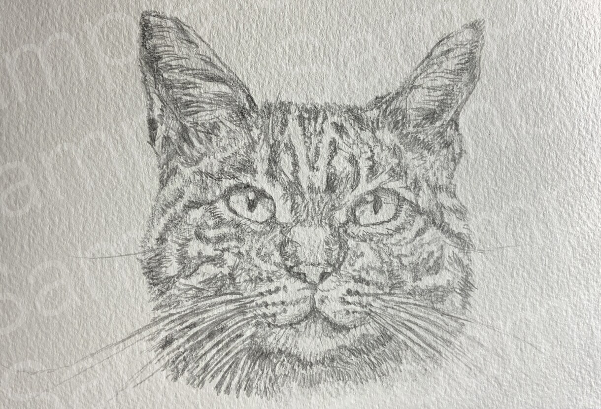 鉛筆でぬくもりを感じる動物の似顔絵を制作します 【葉書サイズ手描き鉛筆画】インテリア、贈り物、アイコン等に イメージ3