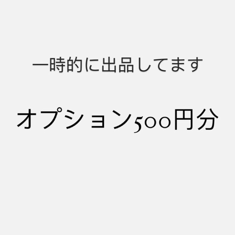 一時的に出品してます オプション500円分ーーーーーーーーー イメージ1