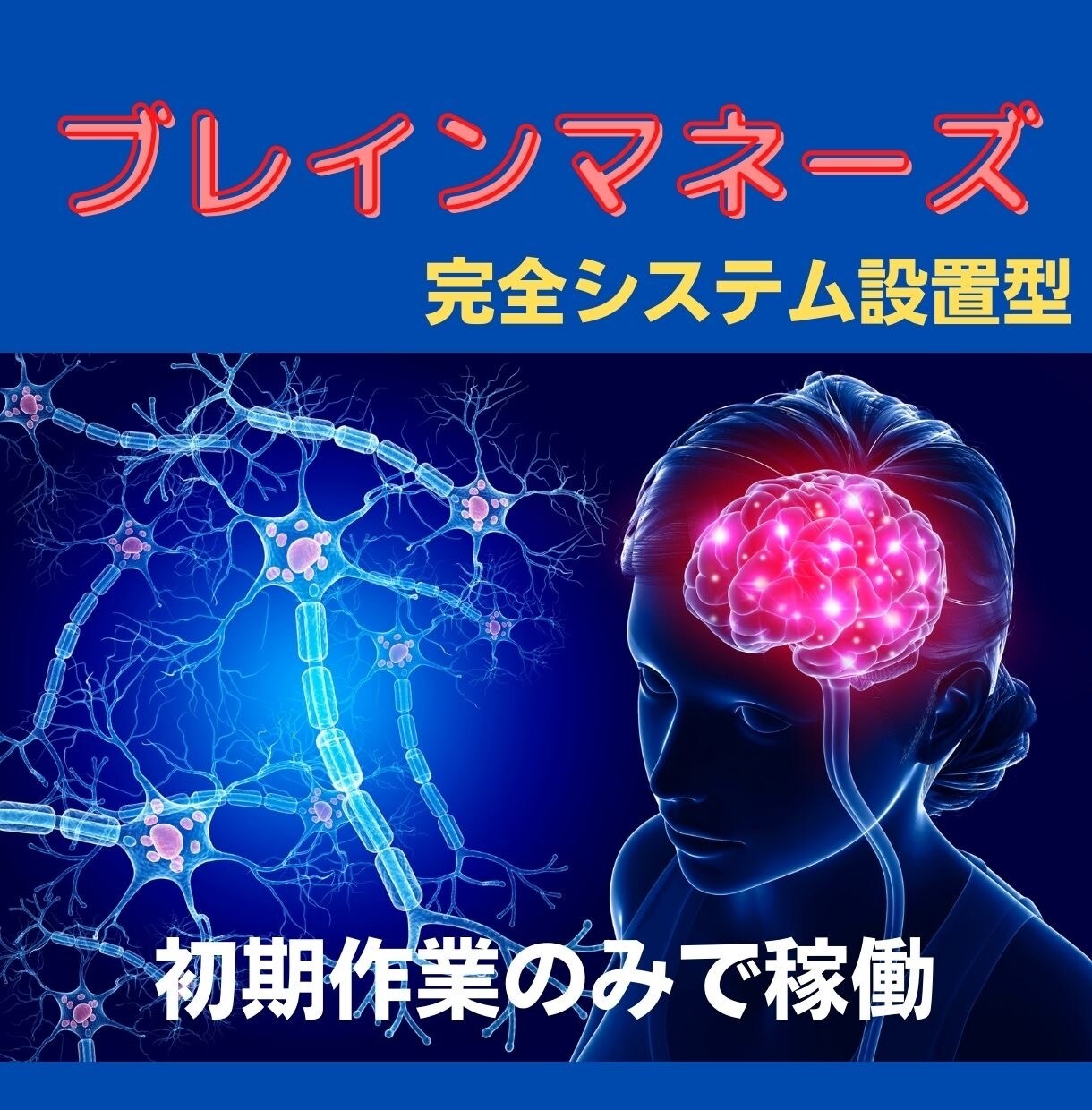 自動化収入【ブレインマネーズ】を独占公開します システム設置型。あなたに代わりブレインマネーズが働きます！ イメージ1