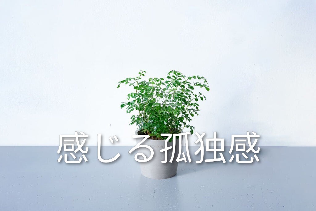 カサンドラなどでお悩みの方、お悩み相談お聞きします カサンドラ特有のお悩み相談ダイヤル/経験者の私にご相談下さい イメージ4