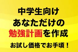 計画管理プロが中学生の勉強計画（2週間）作成します 【お試し価格】2週間で勉強を習慣化・家庭学習の不安を解決 イメージ1