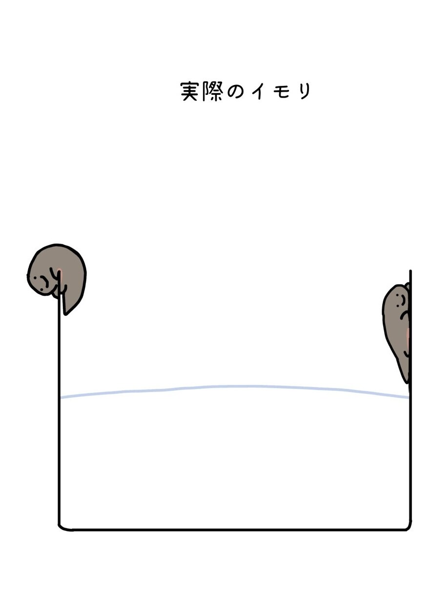 可愛い♡生き物のイラスト描きます カエルや爬虫類を中心に、生き物を可愛くイラストにします♬︎ イメージ3
