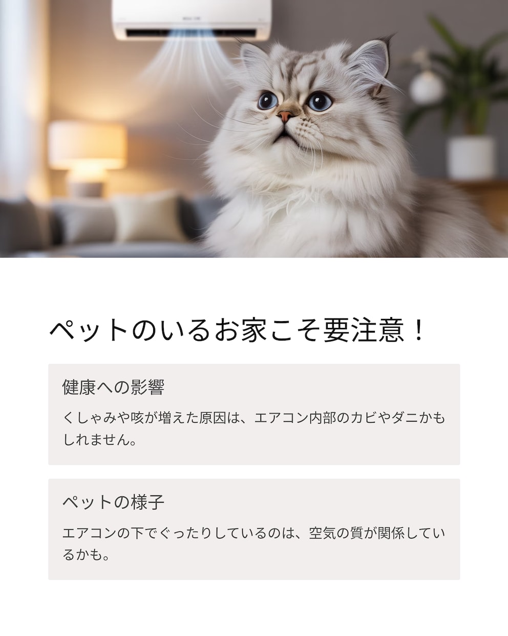 Canva使用　LPの制作をトータル作成致します 初めてのLP制作の方も大歓迎です イメージ3
