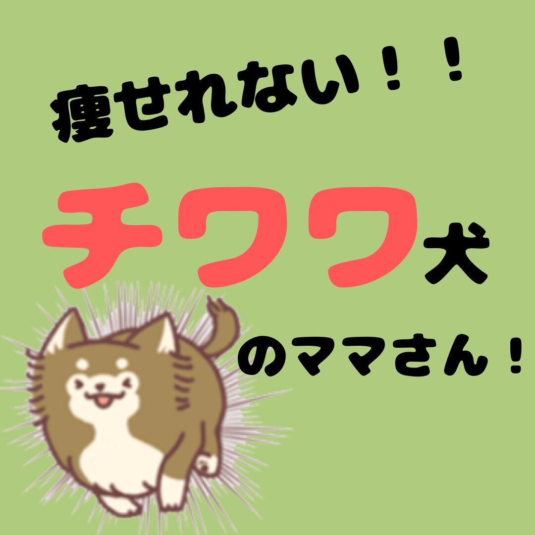 痩せたいチワワ犬のママをサポートします まずは一週間、やってみましょ！⠒̫⃝ イメージ1