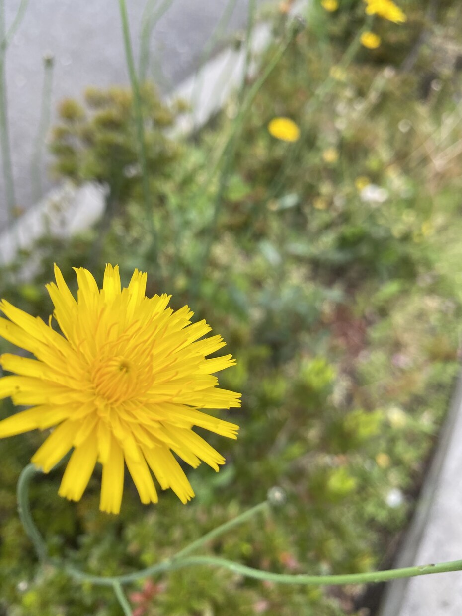 どんなお話でも聞きます 心が辛いとき寂しい時に頼ってください イメージ1