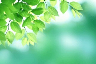 悩み、恋バナ、愚痴、暇つぶし話し相手になります 日常の楽しいこと悲しいこと自慢悩み何でもお話ください♡ イメージ1