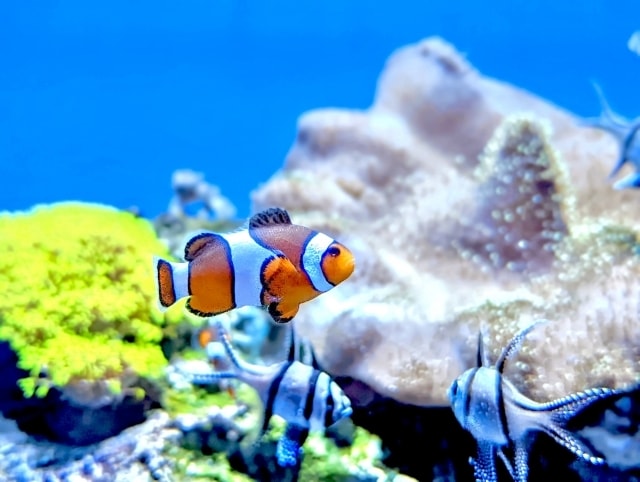頑張る30代・40代女性の職場の悩みをお聞きします OL歴20年、頑張りすぎてしまうアナタに寄り添います イメージ1