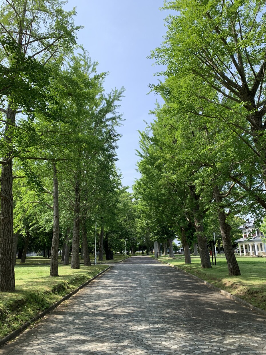 恋愛の分からない点を共にお考えします 恋愛は自分を知る絶好の機会です。気楽に共に考えます。 イメージ1