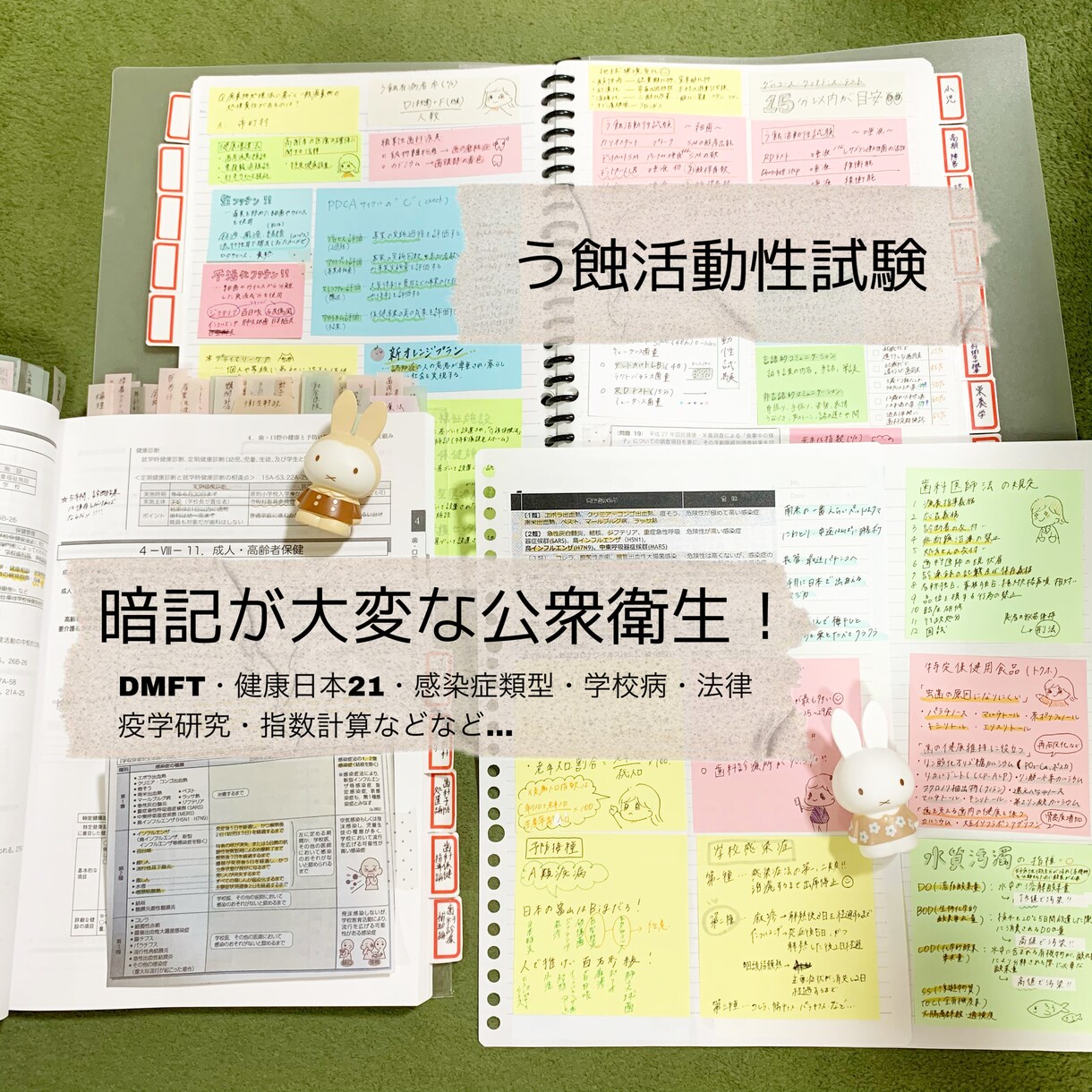現役DH作成！国試対策まとめノートをお届けします 勉強の時短に！語呂合わせも多数記載しています^_^ イメージ5