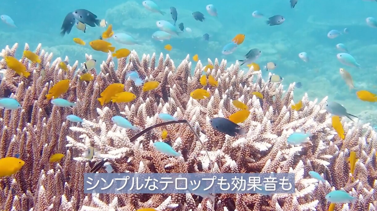 動画編集・YouTube等の動画等編集致します YouTube始める！動画本数を増やしたい！リピート様大歓迎 イメージ3