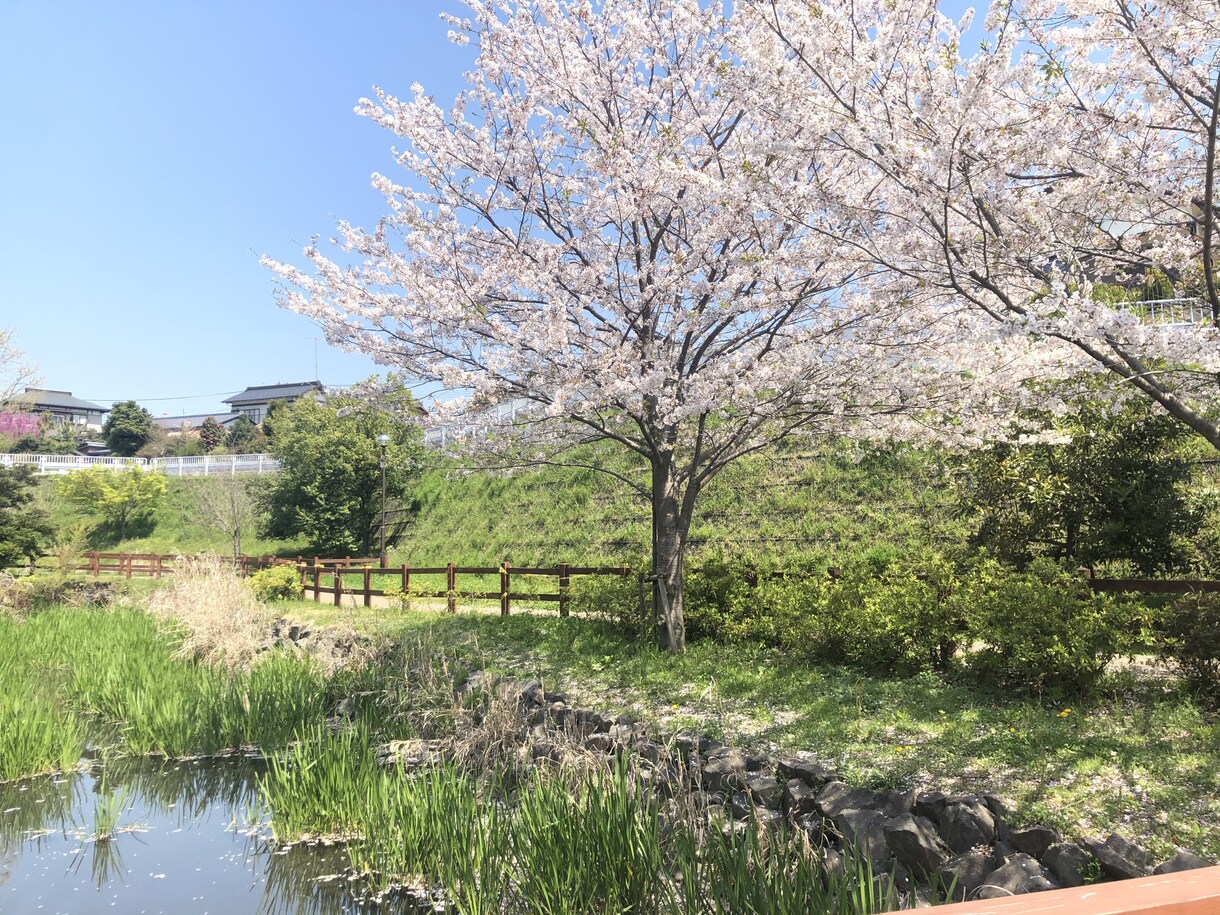 復縁で一番効果的な方法が研究されたので語ります 科学的根拠に基づいてアドバイスさせて頂きます！ イメージ1