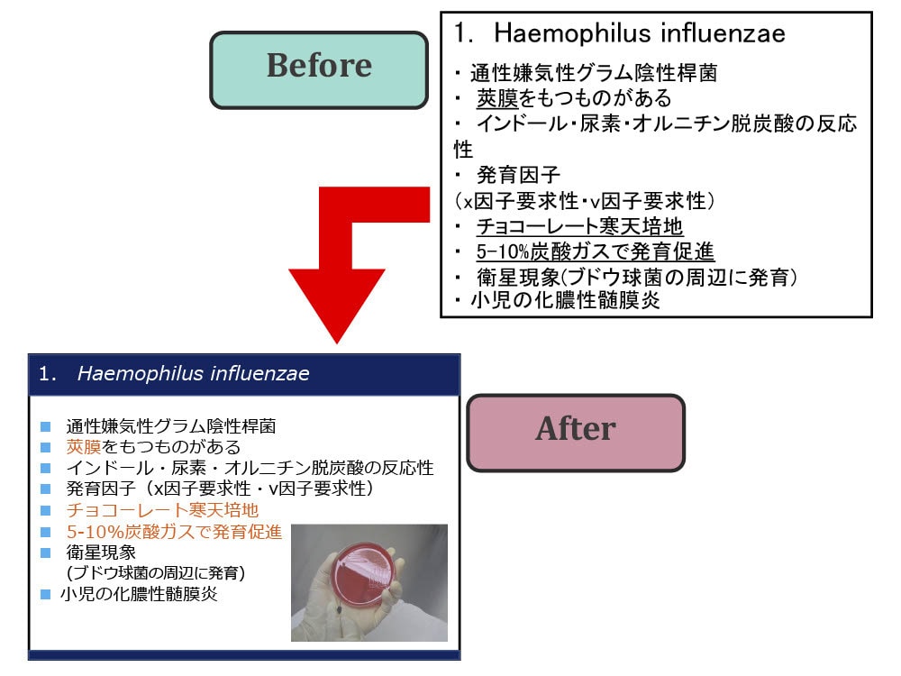 元医療系大学教員がパワーポイント資料作成代行します 迅速・丁寧にパワーポイント作成 医療・教育・研究・会議など! イメージ5