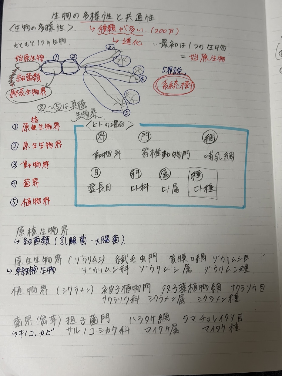 テストの成績アップのためのプリントを提供しています 小中高と成績トップの現役大学生がテスト点数アップの全てを伝授 イメージ1