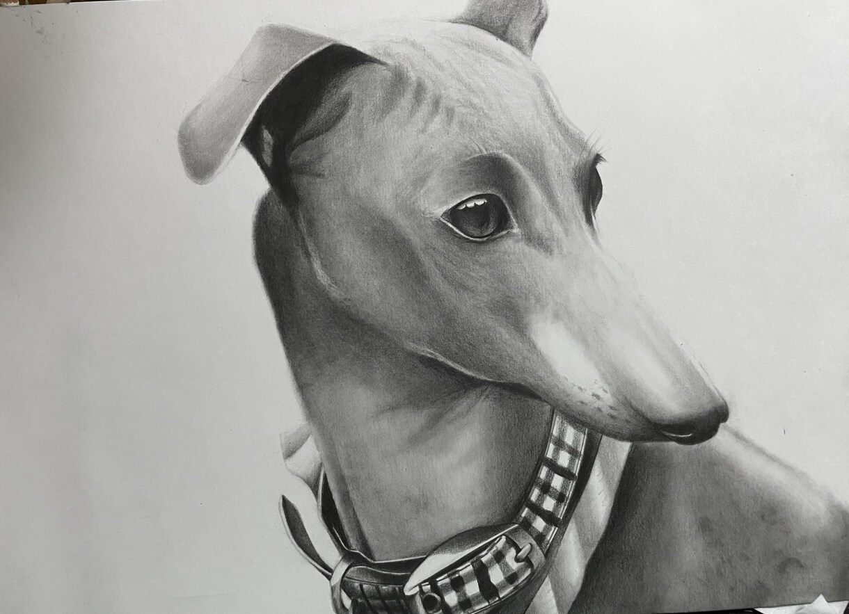貴方の家の愛犬描きます 基本は鉛筆画をしております！たまにcopicも使います イメージ3