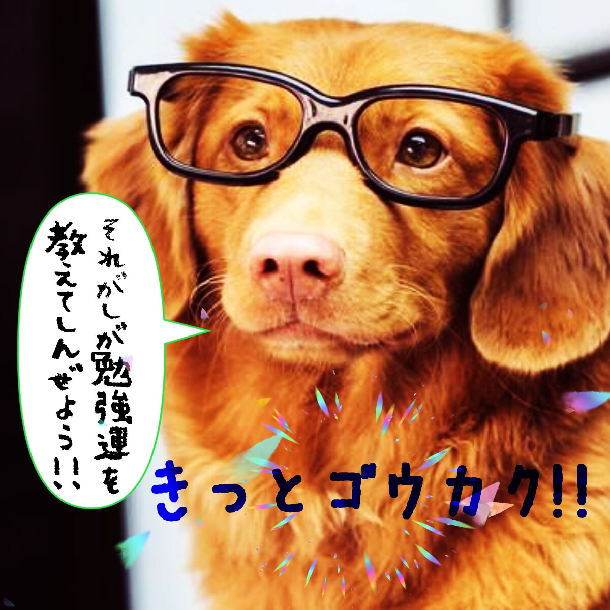 電話5分OK！霊感タロット✅お悩み即座に解消します 楽しくお話しながら占い鑑定！温かく優しい雰囲気で迎えます☆ イメージ7