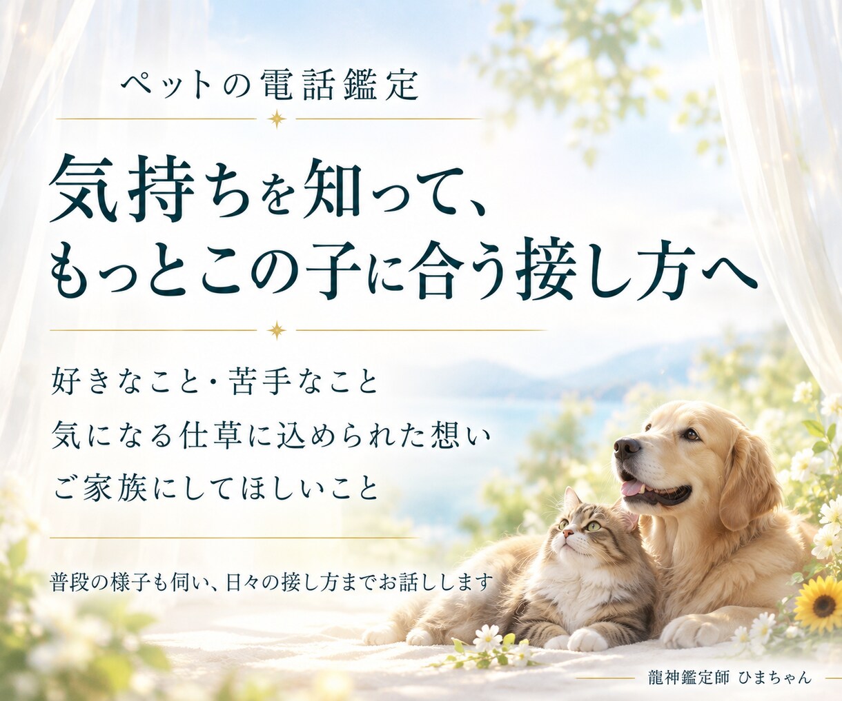 ペットの気持ちと仕草の理由を霊視でお伝えします 今いる子も旅立った子も、受け取った想いを丁寧にお伝えします イメージ3