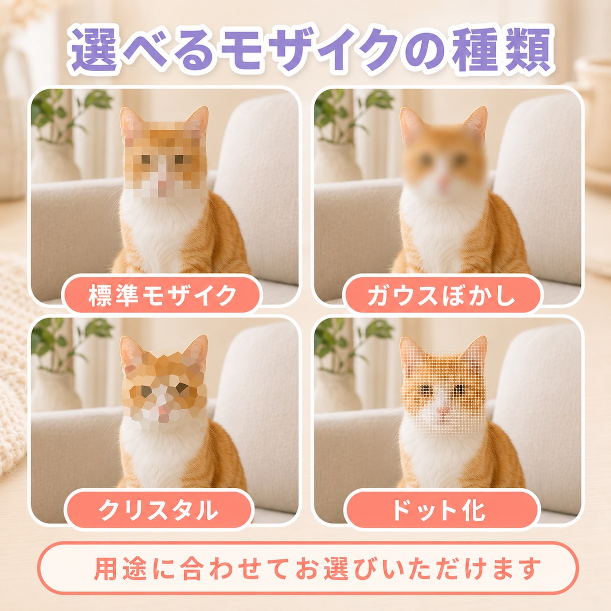 即日納品＆完全匿名でモザイク処理を行います 業界のプロが完全守秘義務でモザイク処理をさせていただきます！ イメージ3