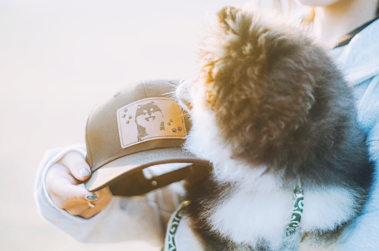 世界に一つの愛犬レザーアイテムを創ります 写真を手描き風に加工しレザーへ刻印。ペットの魅力を形にします イメージ4
