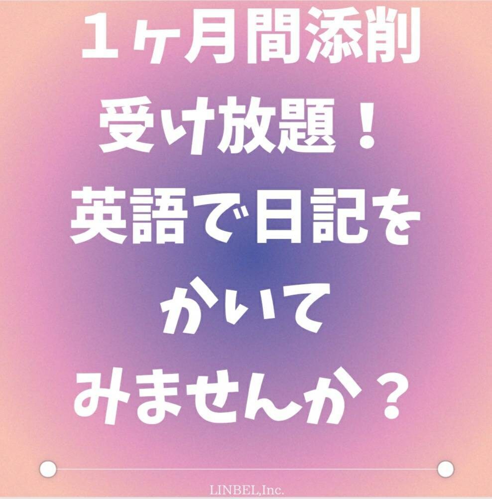 １か月受け放題！英語日記の添削します 英語メッセージし放題付・添削とメールでライティング力UP‼ イメージ1