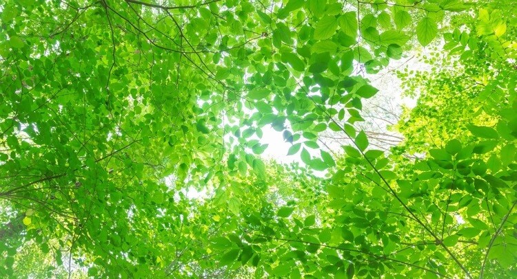 疲れた時にゆっくりチャットで話を聞きます どんな話でもいいのでゆっくりチャットでお話しましょう イメージ10