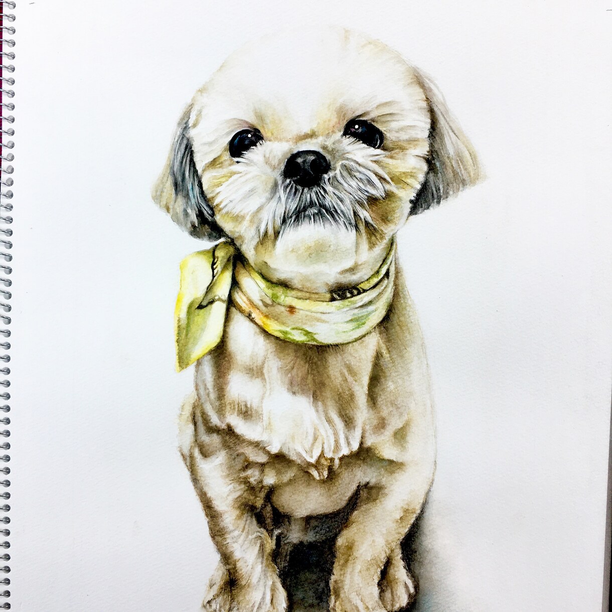 ペットやお好きな動物の似顔絵イラストを描きます プレゼントやペットとの思い出にいかがですか？ イメージ4