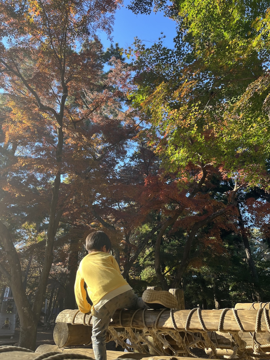 イベントや日々の写真や動画まとめます 旅行や子どもの成長記録記念日など音楽に合わせて編集します イメージ3