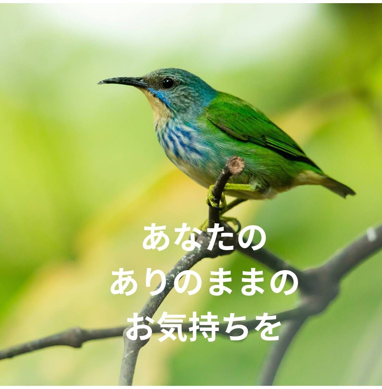 ひきこもり・生きづらさを抱えるあなたのお話聴きます 元当事者が聴くチャット相談【1日チャット・メッセージ無制限】 イメージ6