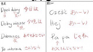 ポーランド語⇄日本語の通訳・翻訳致します ポーランド語⇄日本語の通訳・翻訳致します。 イメージ2