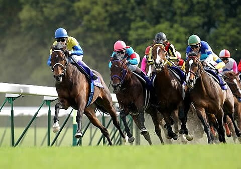 競馬攻略！初心者でも簡単に競馬予想ができます 競馬が当たらない時はこの手法！ イメージ1